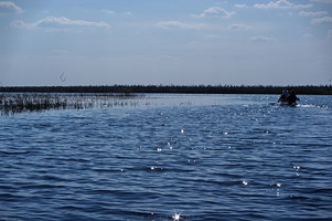 озеро Палик