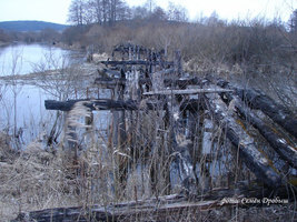 Обгоревшие ребра моста у д. Рудня