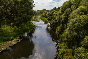 Река Реста с моста в Хоронёво