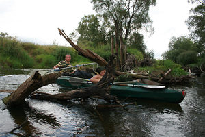 В реке снова начались завалы: упавшие деревья как, шлагбаумы, перегораживают реку