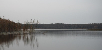 Озеро Вяхово